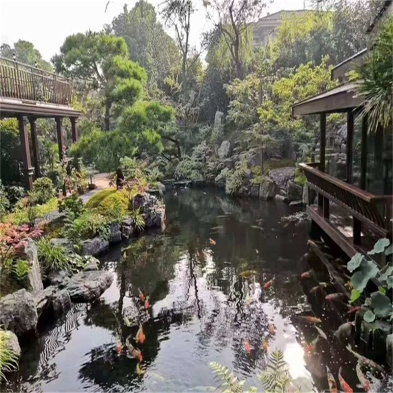 泰安小庭院假山鱼池